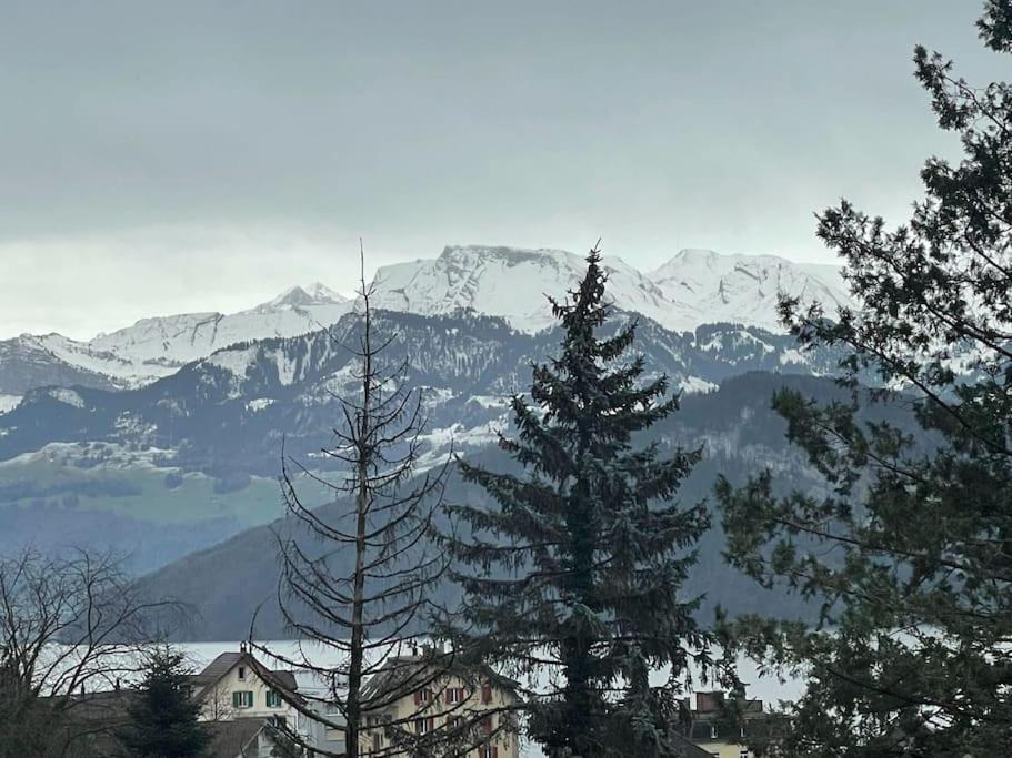 Beautiful Flat With Nice Lake And Mountain Views Weggis Exterior foto